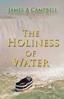 Book cover for The Holiness of Water