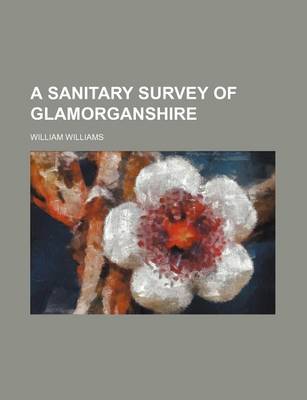 Book cover for A Sanitary Survey of Glamorganshire