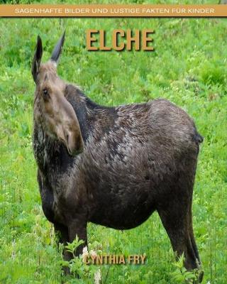 Cover of Elche