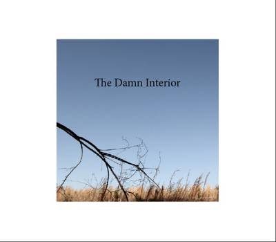 Book cover for The Damn Interior