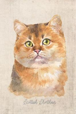 Cover of Scottish Shorthair Cat Portrait Notebook