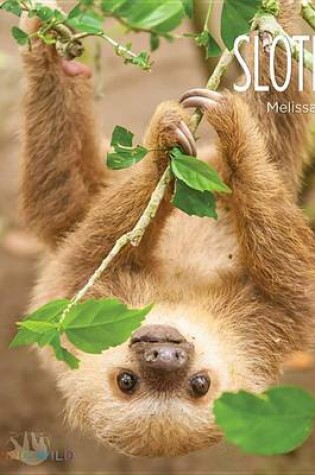 Cover of Sloths