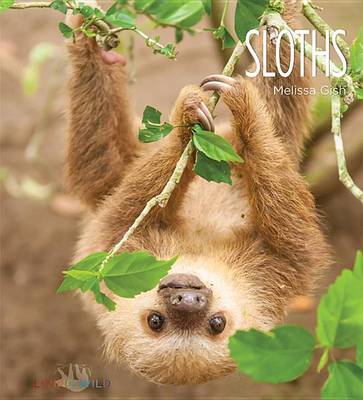 Cover of Sloths