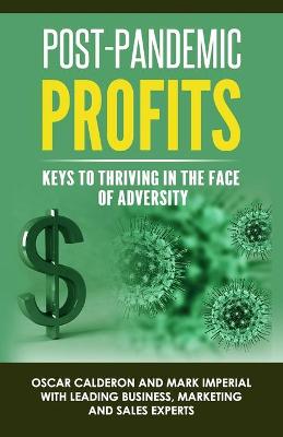 Book cover for Post-Pandemic Profits