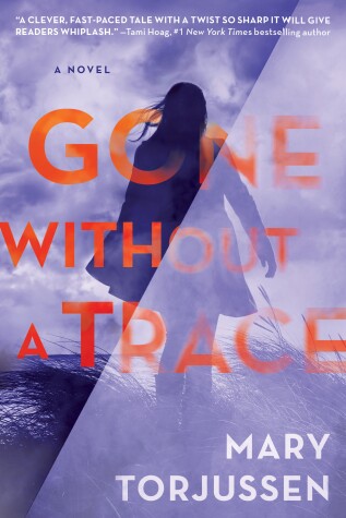 Book cover for Gone Without a Trace