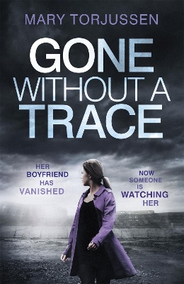 Book cover for Gone Without A Trace