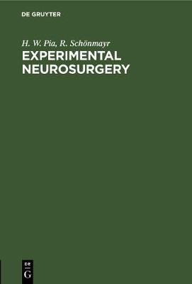 Cover of Experimental Neurosurgery