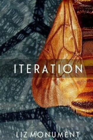 Cover of Iteration