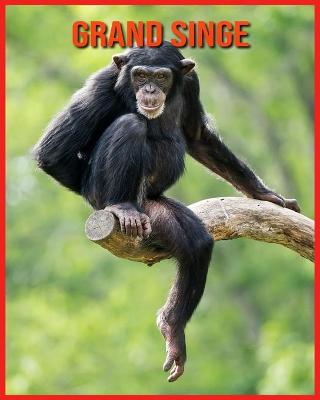 Book cover for Grand Singe