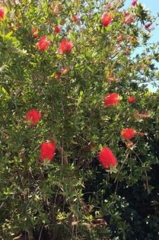 Cover of Bottlebrush Plant Journal