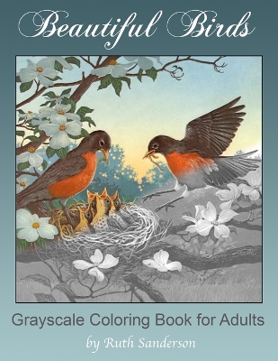 Book cover for Beautiful Birds