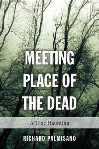 Cover of Meeting Place of the Dead: A True Haunting