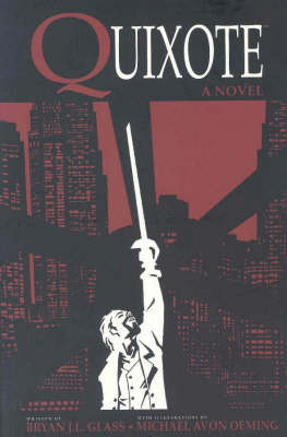 Book cover for Quixote Novel