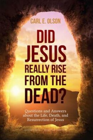 Cover of Did Jesus Really Rise from the Dead?