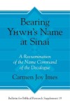 Book cover for Bearing Yhwh's Name at Sinai