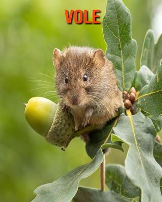 Book cover for Vole