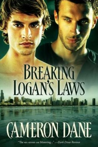 Cover of Breaking Logan's Laws (Quinn Security)
