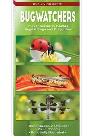 Cover of Bugwatchers