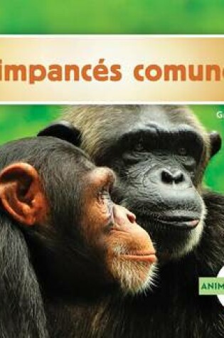 Cover of Chimpances Comunes (Chimpanzees)