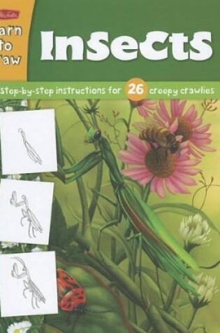 Cover of Learn to Draw Insects