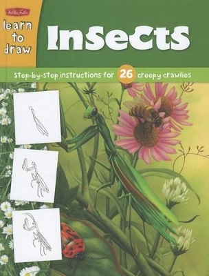 Book cover for Learn to Draw Insects