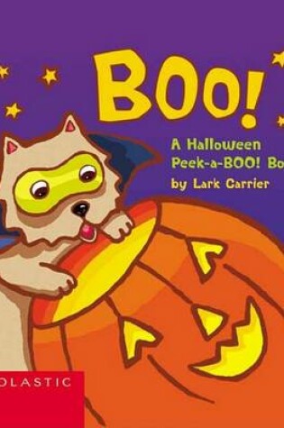 Cover of Boo! a Halloween Peek-A-Boo! Book