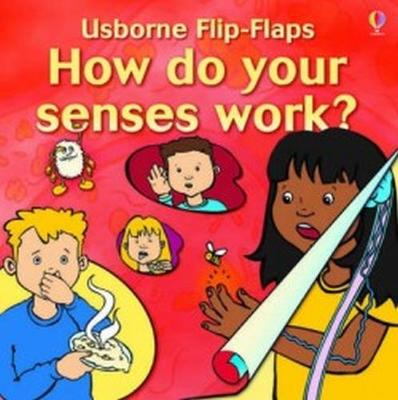 Book cover for How do your senses work?