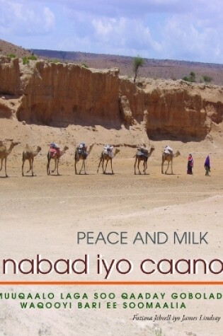 Cover of Nabad Iyo Caano: Muuqaalo Laga Soo Qaaday Gobolada Waqooyi Bari Ee Soomaaliya