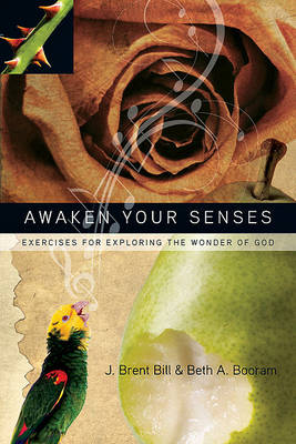 Book cover for Awaken Your Senses