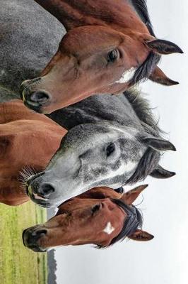 Book cover for A Beautiful Horse Trio Journal