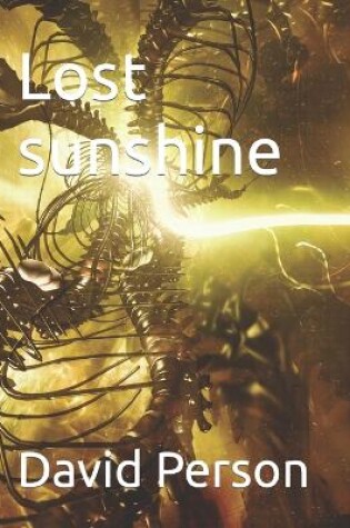 Cover of Lost sunshine