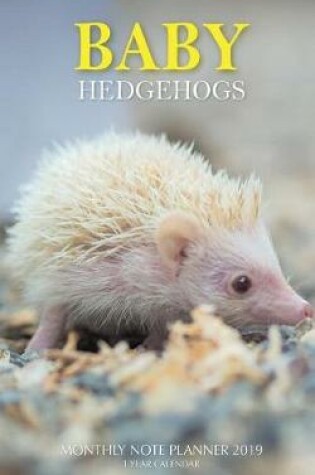 Cover of Baby Hedgehogs Monthly Note Planner 2019 1 Year Calendar