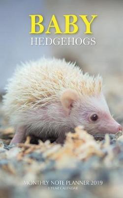 Book cover for Baby Hedgehogs Monthly Note Planner 2019 1 Year Calendar