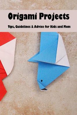 Book cover for Origami Projects