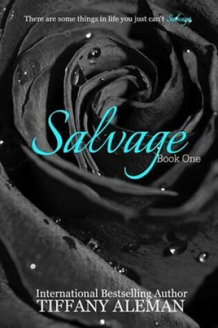 Cover of Salvage Book One