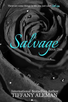 Book cover for Salvage Book One