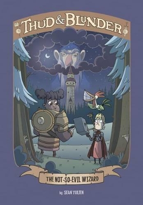 Book cover for Not-So-Evil Wizard