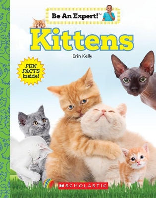 Book cover for Kittens (Be an Expert!) (Library Edition)