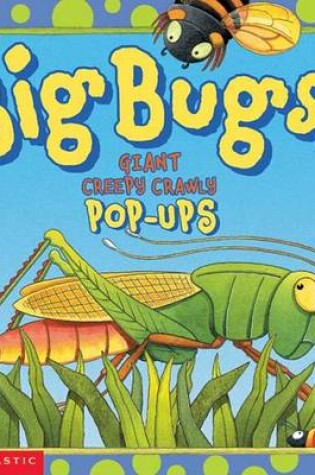 Cover of Big Bugs