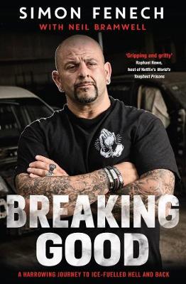 Book cover for Breaking Good