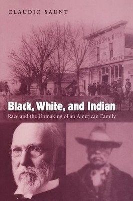 Book cover for Black, White, and Indian