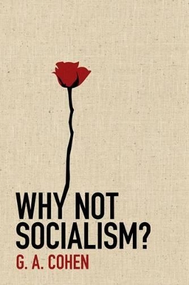 Book cover for Why Not Socialism?