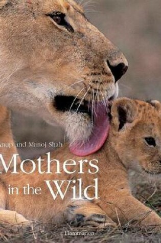 Cover of Mothers in the Wild
