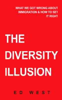 Book cover for The Diversity Illusion