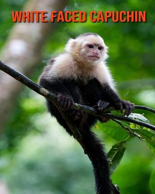 Book cover for White Faced Capuchin