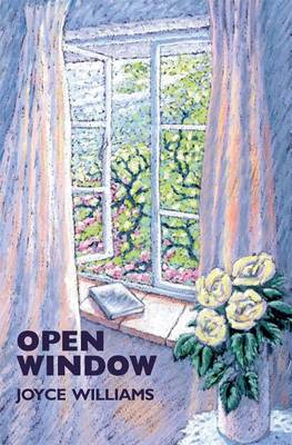 Book cover for Open Window