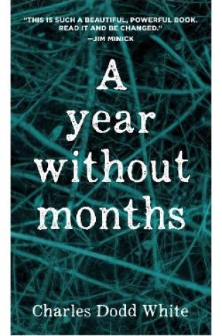 Cover of A Year without Months