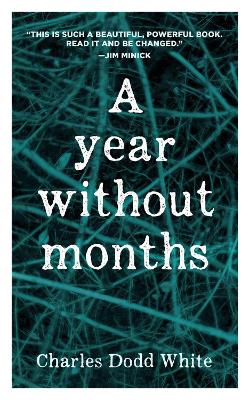 Book cover for A Year without Months