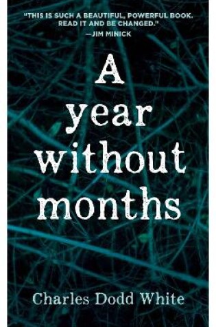 Cover of A Year without Months