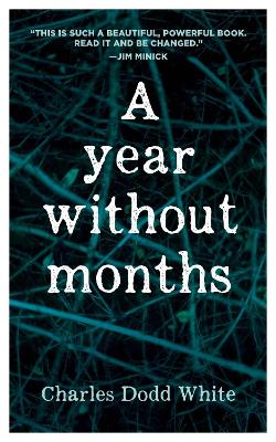 Book cover for A Year without Months